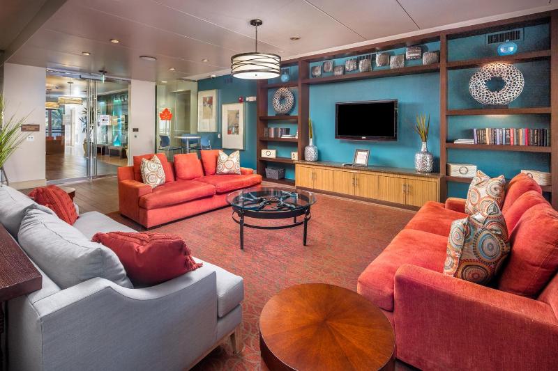 Gorgeous Furnished Apartments near Texas Medical Center & NRG Stadium - image 9