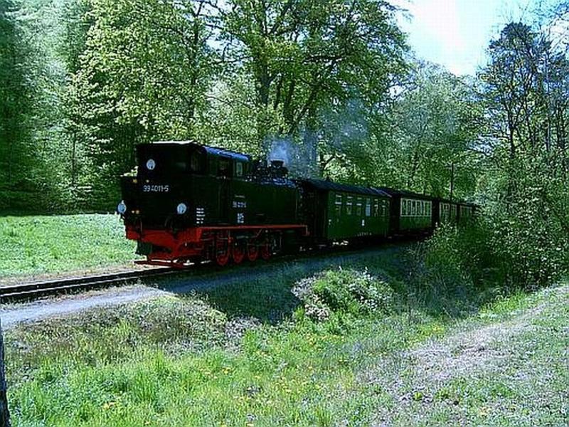 Ferienhaus 