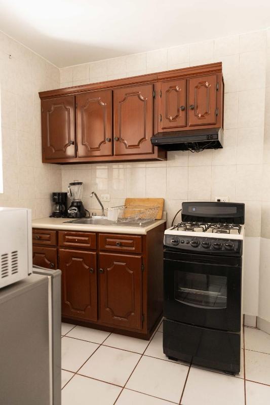 Bohemian Apartment in Oaxaca with 2 Bedrooms - image 11