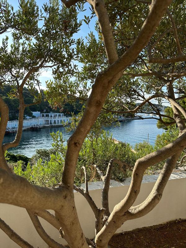 One-Bedroom Apartment with Terrace and Sea View image 2