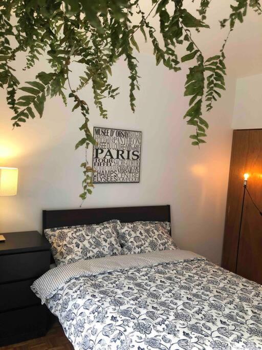 cute 2 bedroom unit ground floor downtown 32 days minimum - image 10