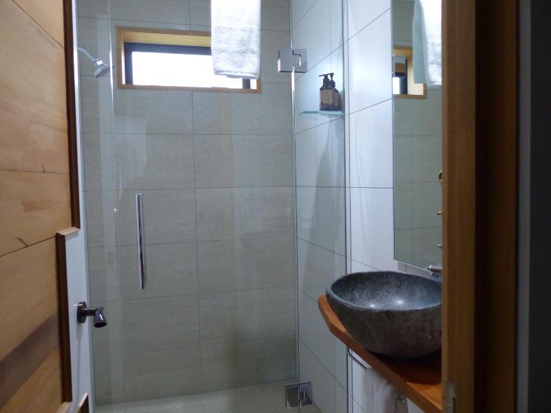 acomo at Clutha - stunning views pool & gym access - image 22