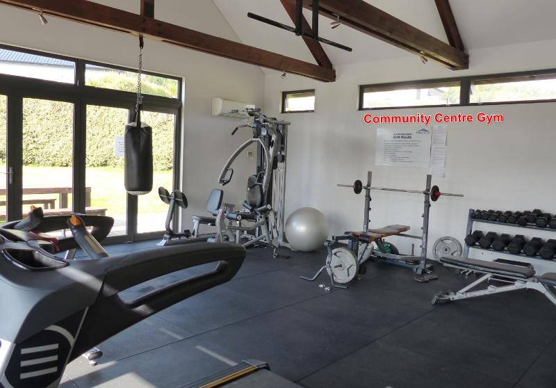 acomo at Clutha - stunning views pool & gym access - image 13