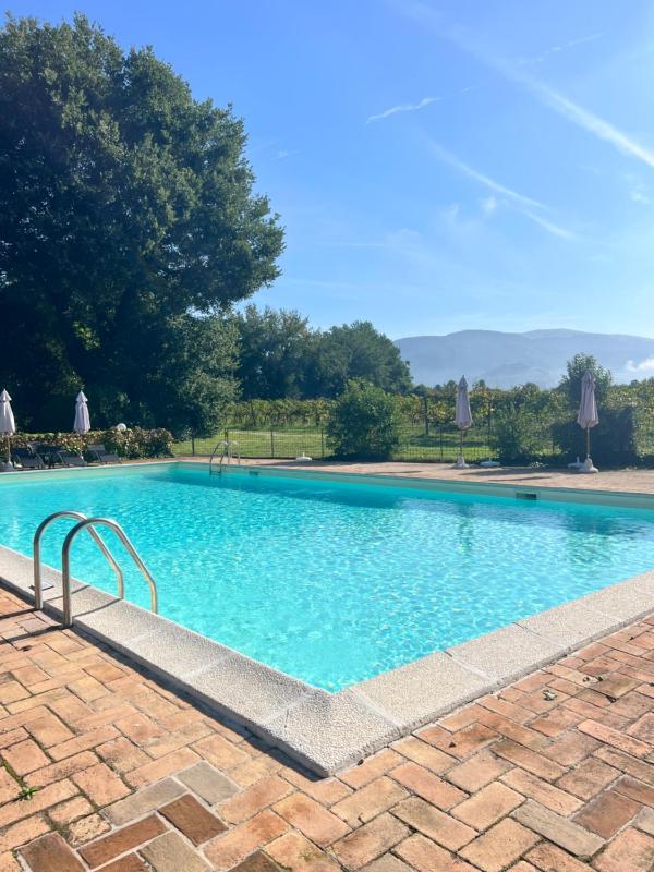 Agriturismo Podere La Fornace - image 2