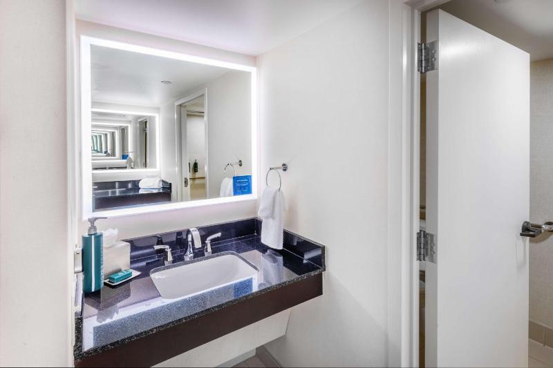 Deluxe King Suite - Non-Smoking image 4