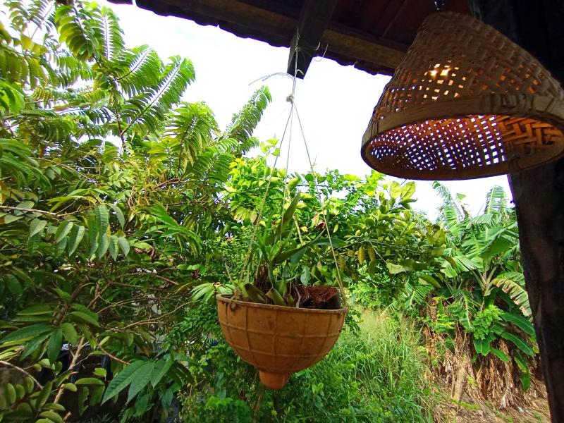 Parrot Tree House - image 5