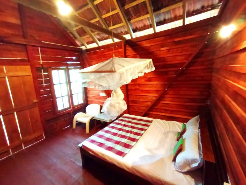 Parrot Tree House - image 3