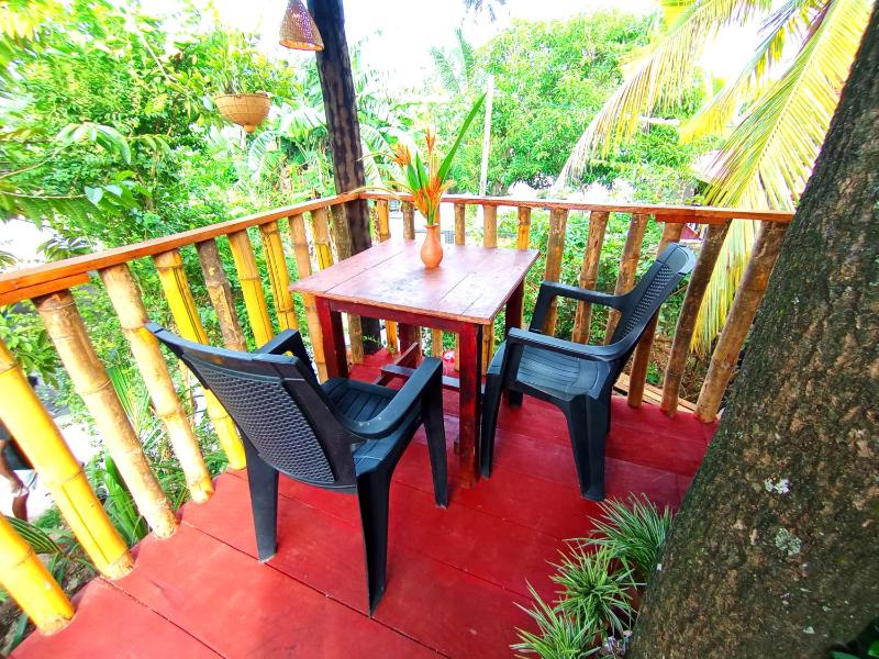 Parrot Tree House - image 14