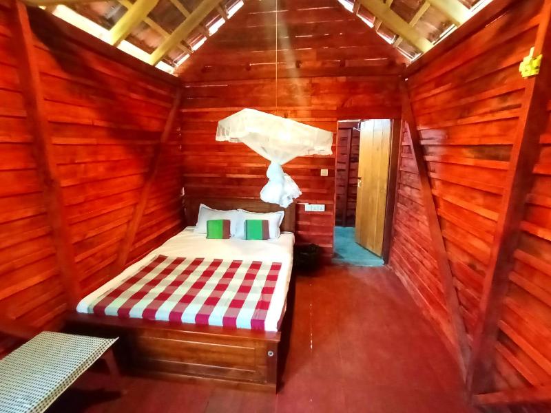 Parrot Tree House - image 6