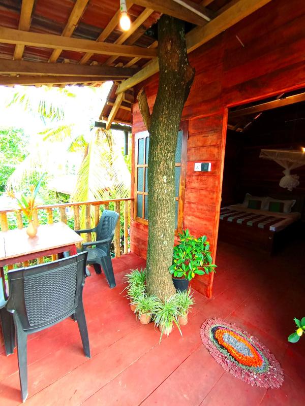 Parrot Tree House - image 15