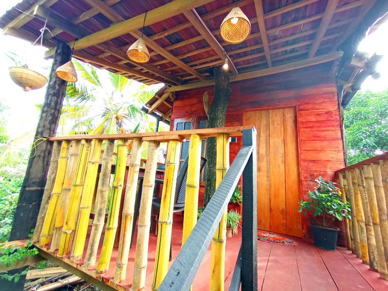 Parrot Tree House - image 4