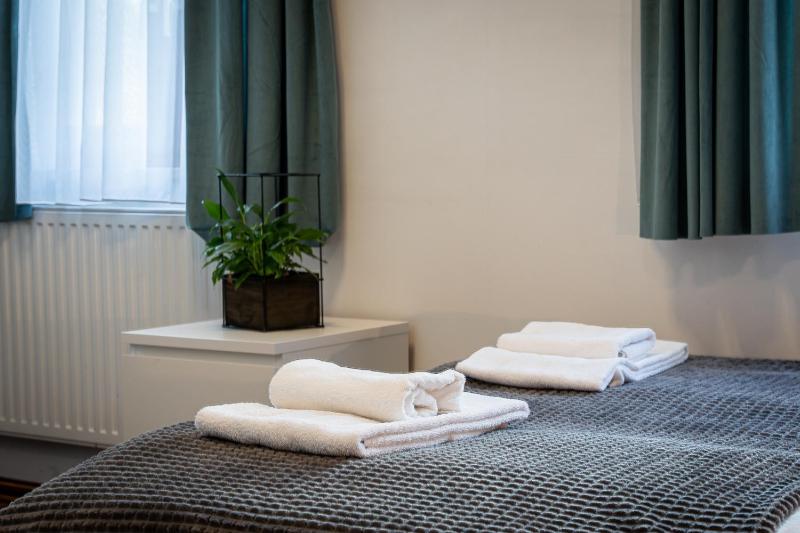 Deluxe Twin Room image 3