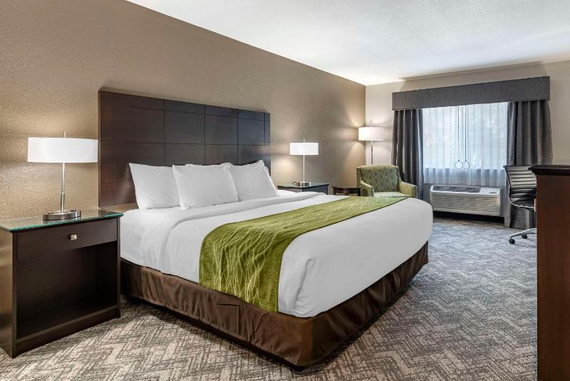 King Room - Non-Smoking image 1