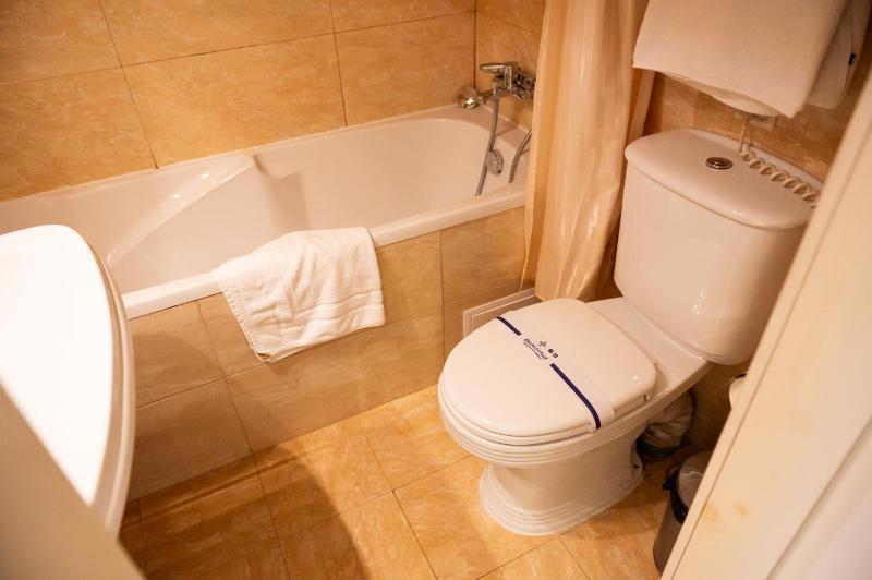 Superior Double or Twin Room image 2