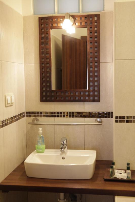 One-Bedroom Apartment image 3