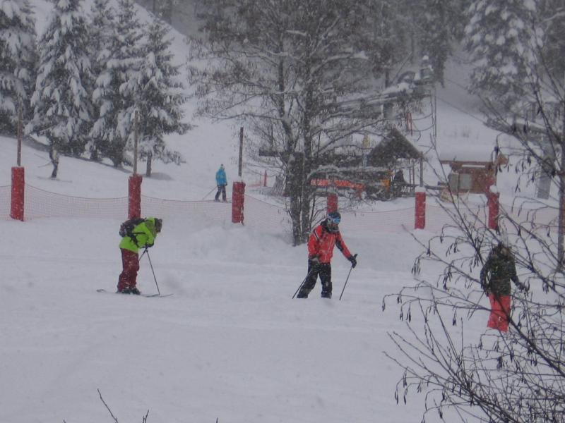 Chalet Jonquille - image 17