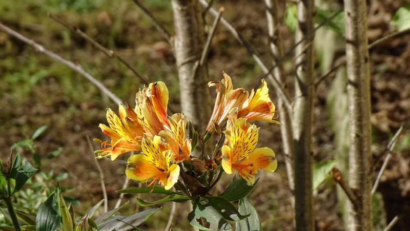 Holiday Home image 3