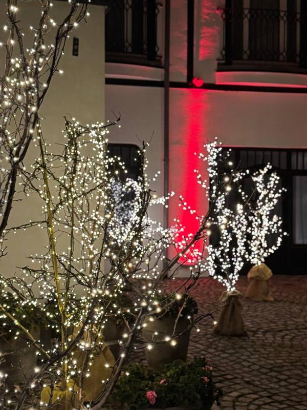 Hotel Rejs - image 47