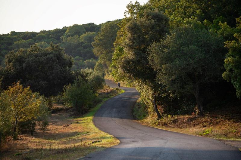 Porto Saint Stephanos - image 17