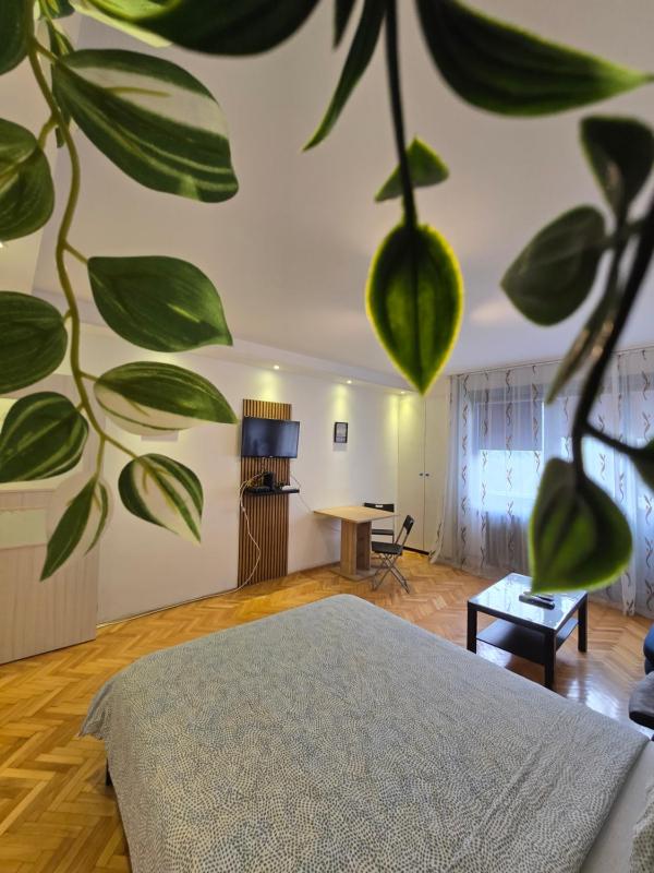 Azzurro Studio Apartment - image 4