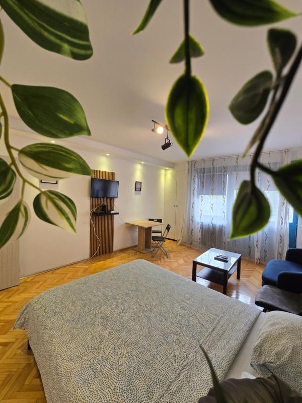 Azzurro Studio Apartment - image 15