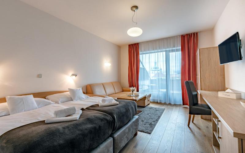 Double or Twin Room with Terrace and with Extra Bed  image 1