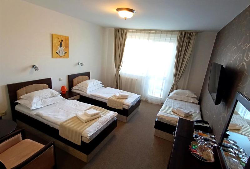 Deluxe Triple Room image 4