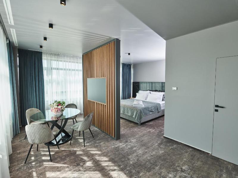 Deluxe King Suite image 4