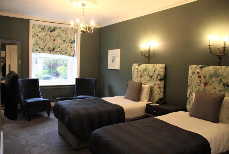 Deluxe Twin Room image 2