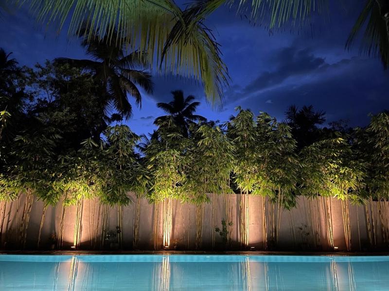 Sri Palms - image 19