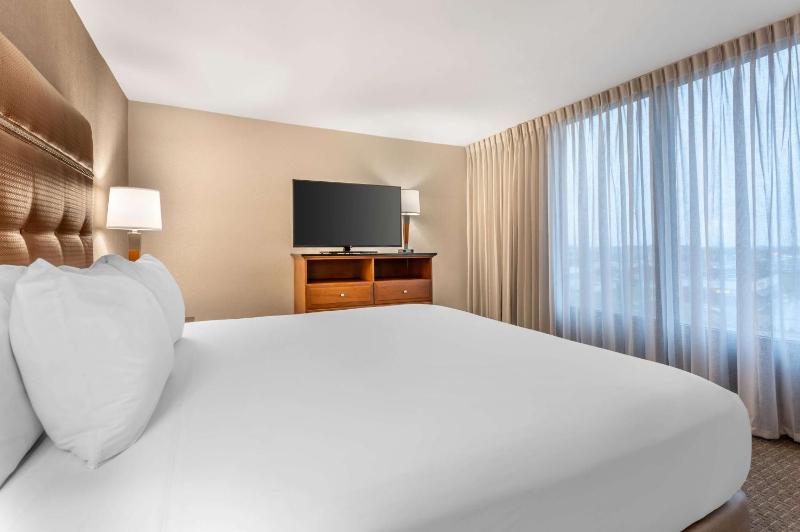 King Suite with Sofa Bed image 4