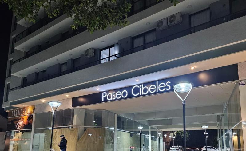 Dpto paseo cibeles - image 25