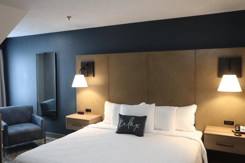King Room - Non-Smoking image 3