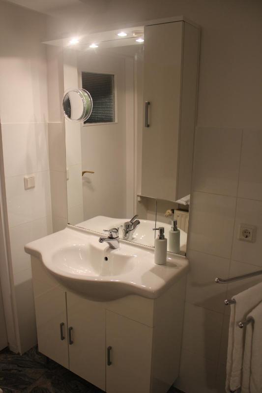 One-Bedroom Apartment image 3