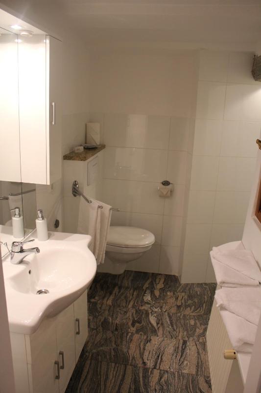 One-Bedroom Apartment image 2
