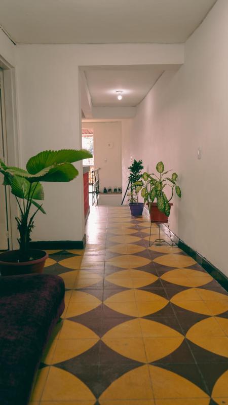 Turpial inn - image 8