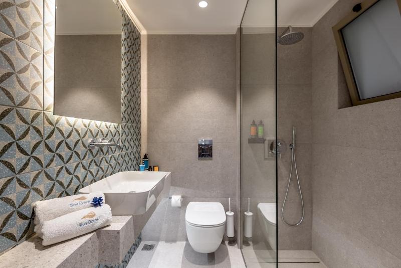Premium One-bedroom Suite image 2