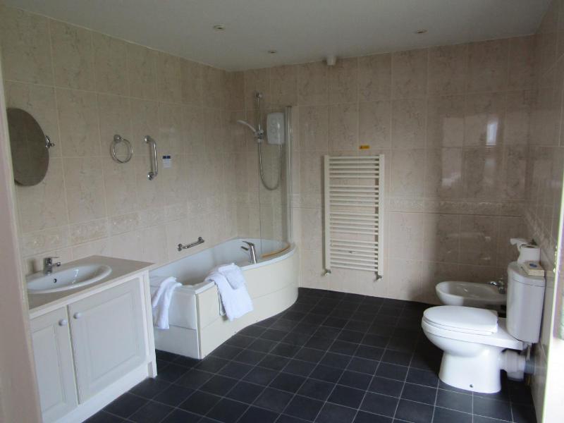 Superior Twin Room image 3