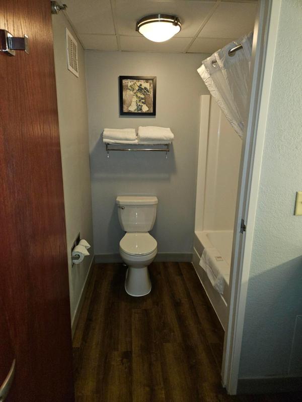 King Room - Non-Smoking image 3