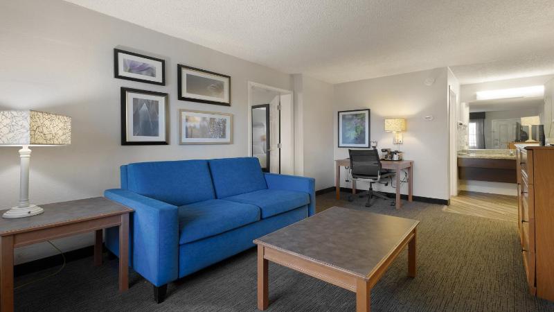 Deluxe King Suite image 1