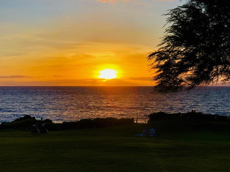 Rear Ocean View 2 Bedroom Single Level Condo at Kamaole Sands 9-305 - image 13