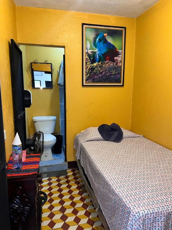 Hotel Alma Maya - image 13