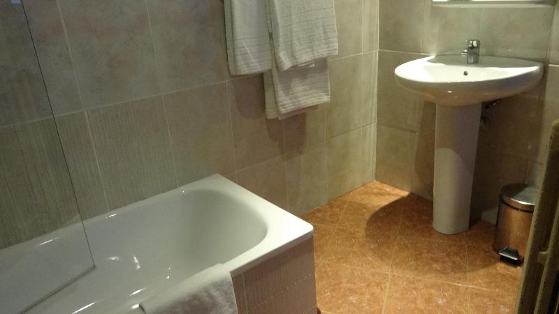 Double or Twin Room image 4