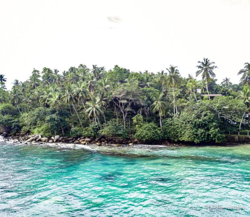 Shaka Villa - image 4