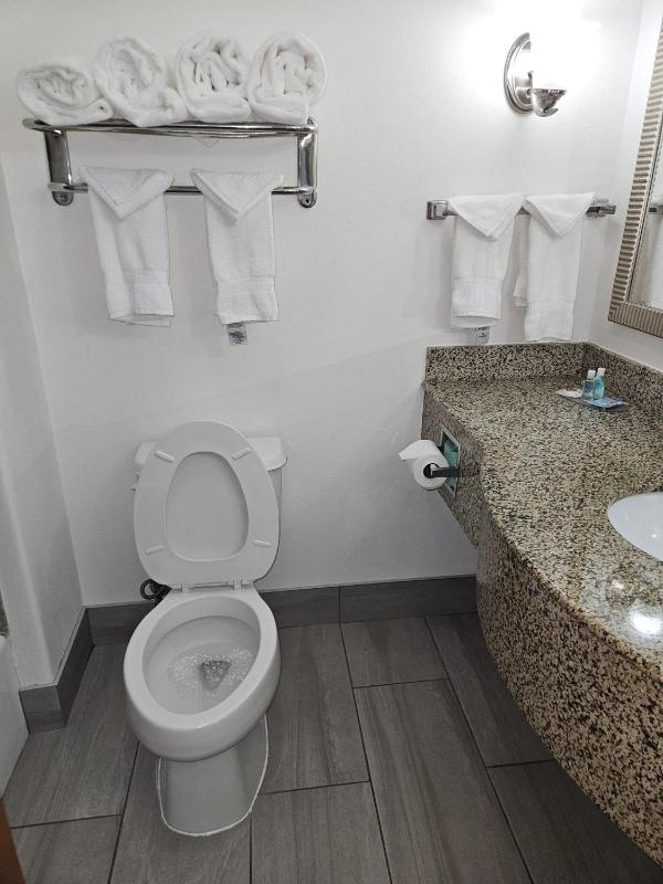King Suite - Accessible/Non-Smoking image 2