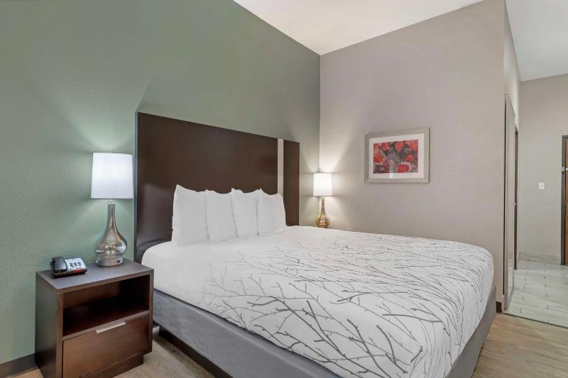 King Room - Pet Friendly image 4