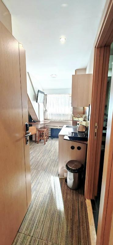 Studio Apartment image 3