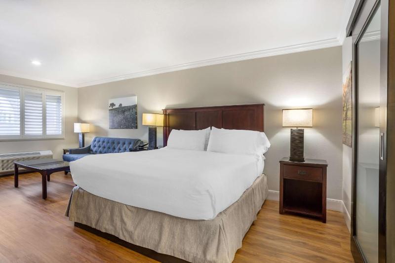 King Room with Sitting Area  image 3