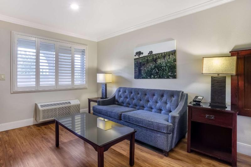 King Room with Sitting Area  image 1