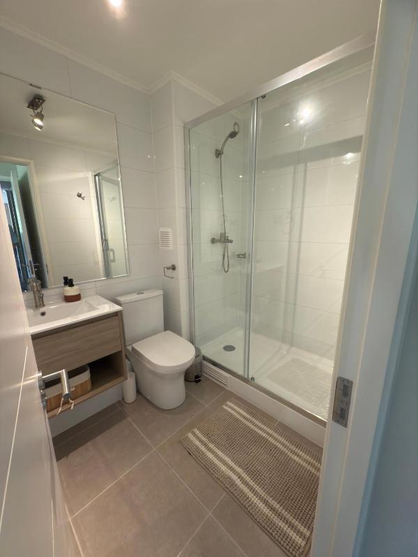 Apartamento familiar en Pucón - image 14